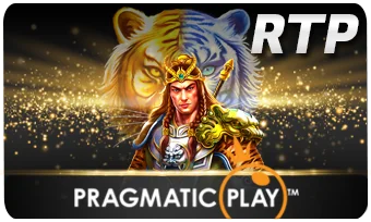 pragmatic stonebet88